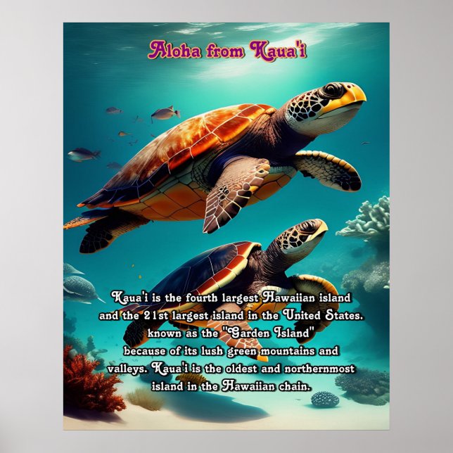 Poster Iles hawaïennes Kauai Aloha (Devant)