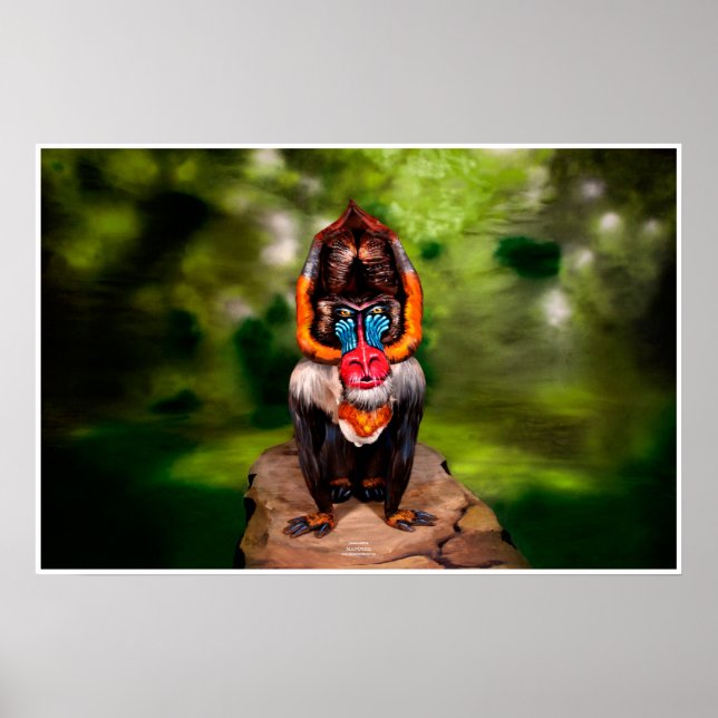 Poster Illusion de carrosserie Mandrill (Devant)