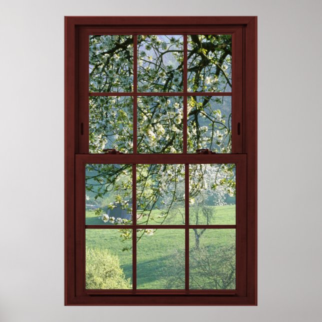 Poster Illusion de la fenêtre d'image en fleurs de cerisi (Devant)