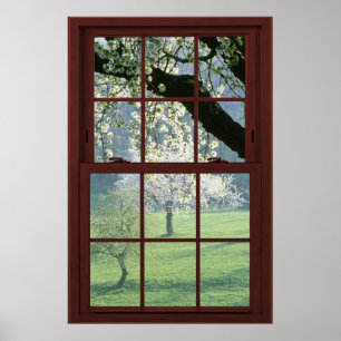 Poster Illusion de la fenêtre d'image en fleurs de cerisi