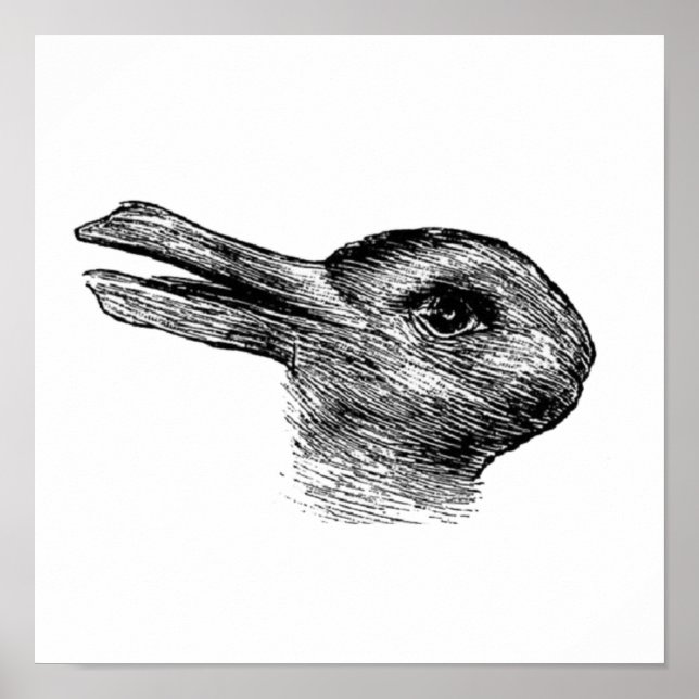 Poster illusion du canard de lapin (Devant)