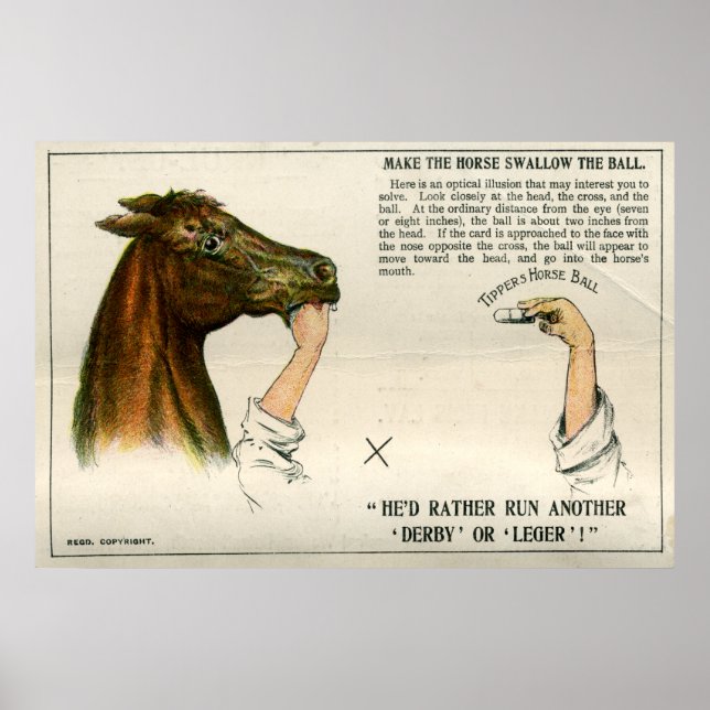 Poster Illusion optique, 1896 (Devant)