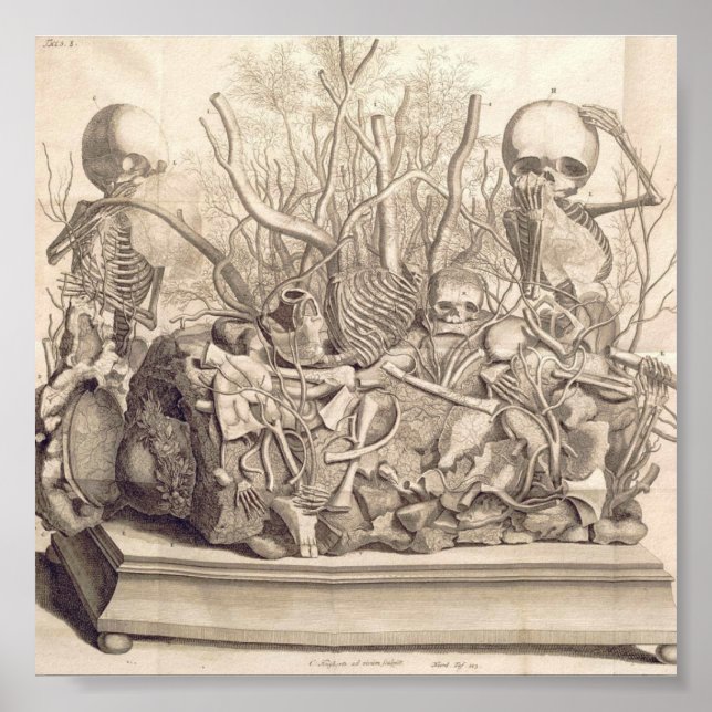 Poster Illustration anatomique vintage (Devant)