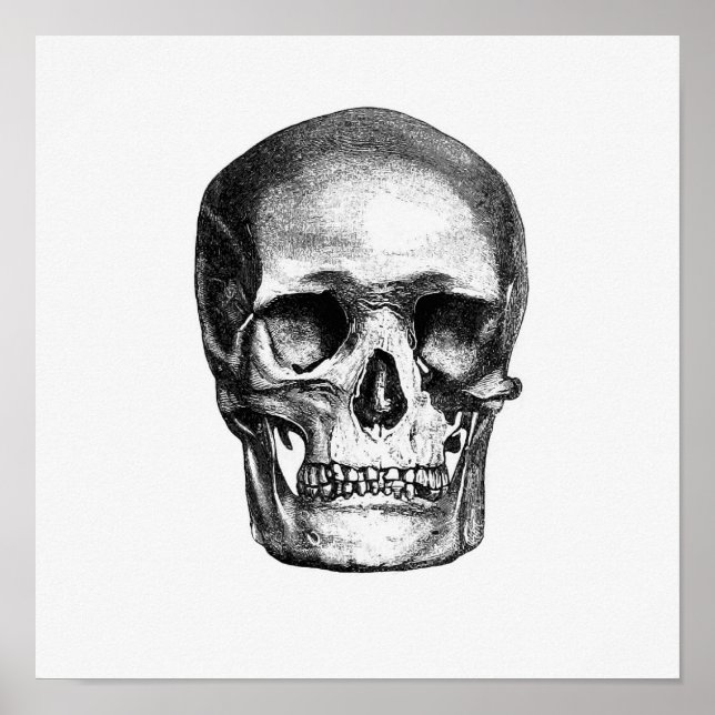 Poster Illustration anatomique vintage (Devant)