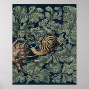 Poster Illustration Art Nouveau botanique escargot antiqu