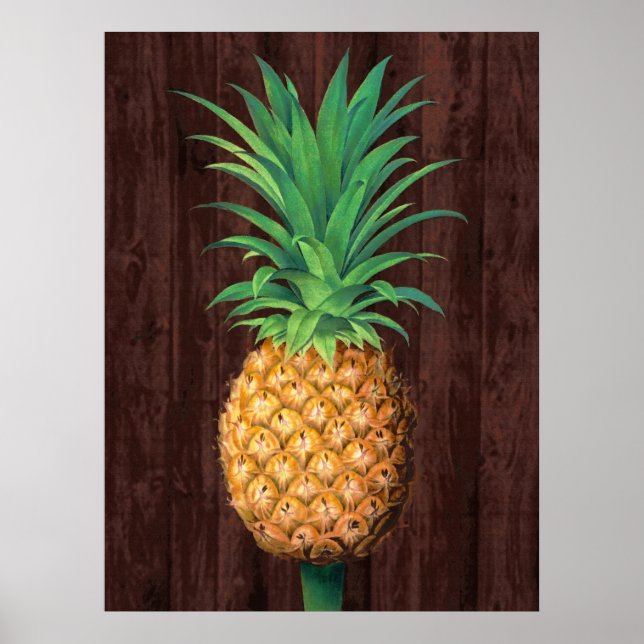 Poster Illustration botanique d'ananas contre l'acajou (Devant)