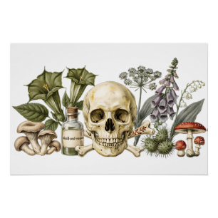 Poster Illustration botanique de crâne de jardin empoison