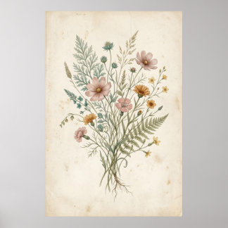 Poster Illustration botanique vintage de fleurs sauvages