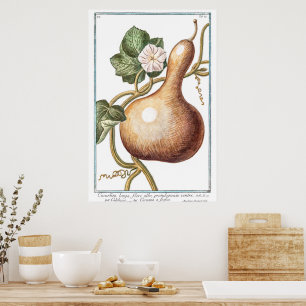 Poster Illustration Citrouille vintage par Giorgio Bonell