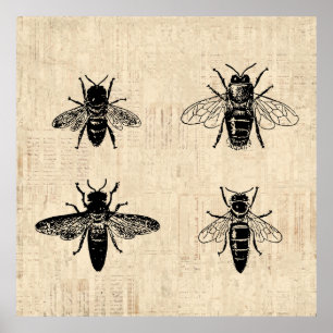 Poster Illustration d'abeilles Antique Bee Art Design Vin