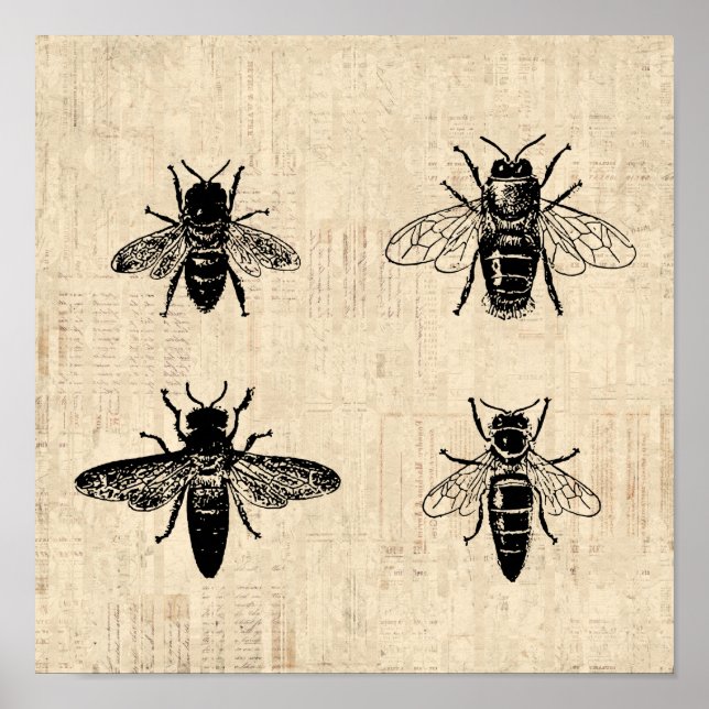 Poster Illustration d'abeilles Antique Bee Art Design Vin (Devant)