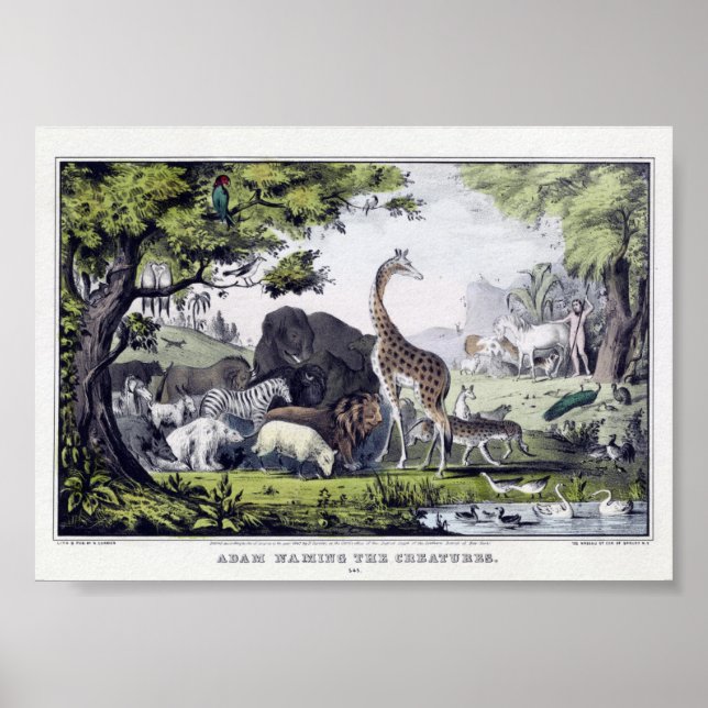Poster Illustration d'animaux sauvages vintages (Devant)