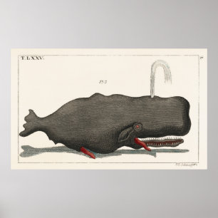Poster Illustration d'art de la gravure sur bois de balei