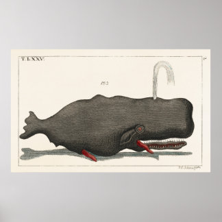 Poster Illustration d'art de la gravure sur bois de balei