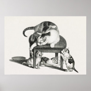 Poster Illustration de chats Vintages