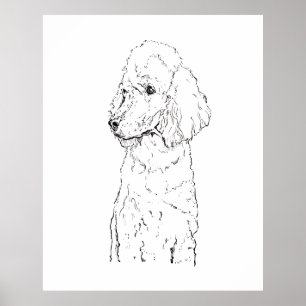 Poster Illustration de chien Caniche Standard - Art à l'e