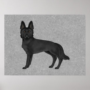 Poster Illustration de chien de berger allemand noir de d