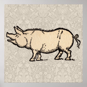 Poster Illustration de cochon antique mignon vintage