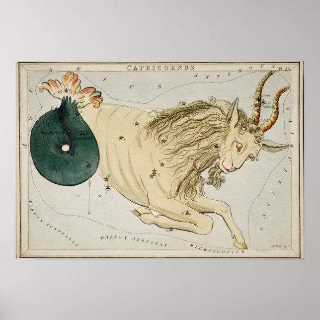 Poster Illustration de constellation vintage (Devant)