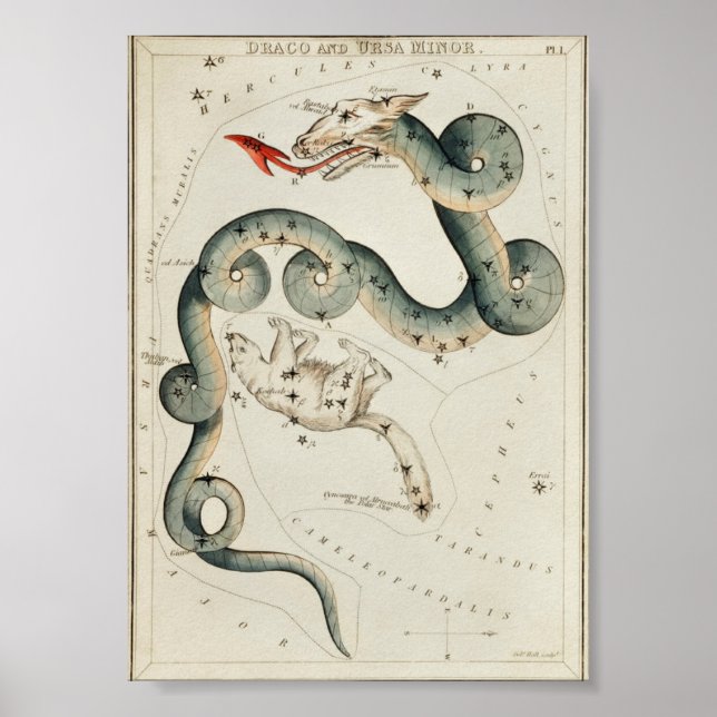 Poster Illustration de constellation vintage (Devant)