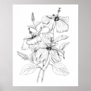 Poster illustration de fleurs d'hibiscus noir et blanc