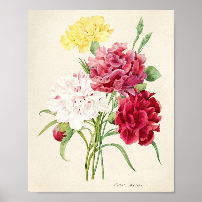 Poster illustration de fleurs roses pour artsy (Devant)