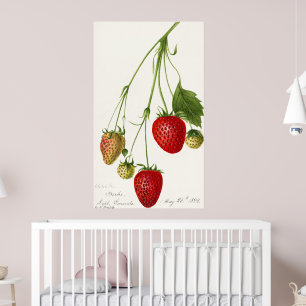 Poster Illustration de fraise vintage