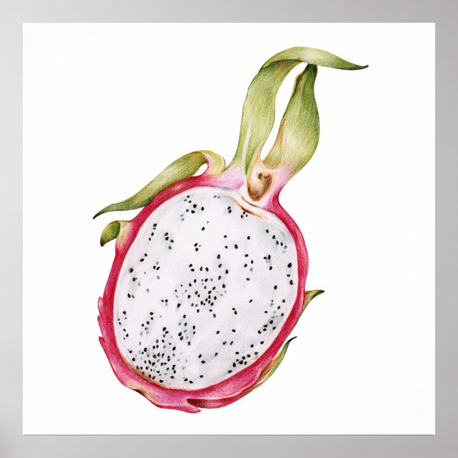 Poster Illustration de fruit de dragon dessiné à la main (Devant)
