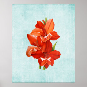 Poster Illustration de Gladiolus sur le Denim vieilli