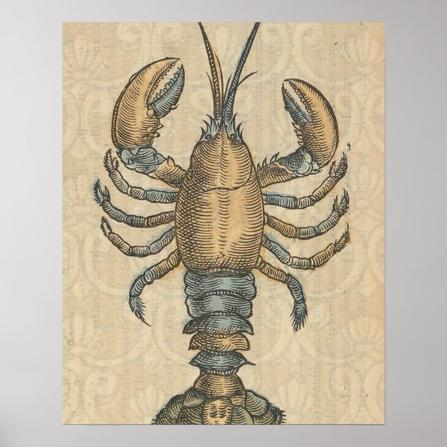 Poster Illustration de homard, fruits de mer du Maine (Devant)