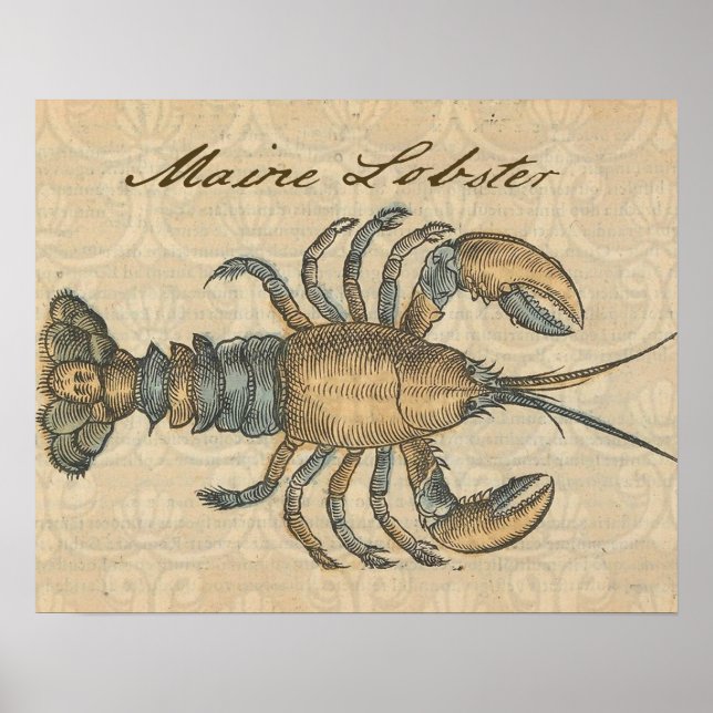 Poster Illustration de homard, fruits de mer du Maine (Devant)