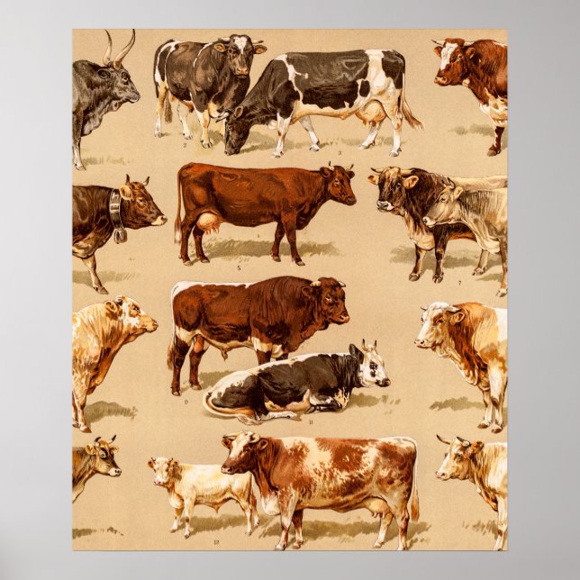 Poster Illustration de la ferme de vaches laitières vinta (Devant)