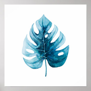 Poster Illustration de la feuille de monstère d'aquarelle