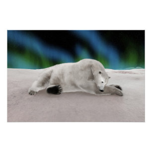 Poster Illustration de la nature arctique de l'ours polai