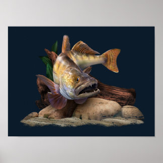 Poster Illustration de la pêche au walleye, pêcheur au wa