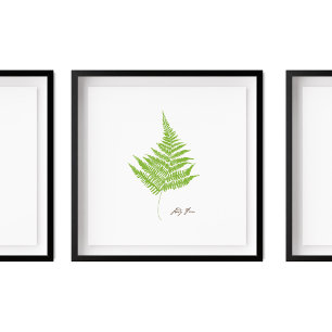 Poster Illustration de Lady Fern   Série Fern