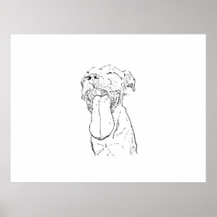 Poster Illustration de l'Am Staffordshire Terrier