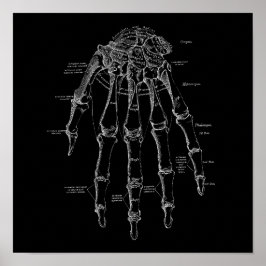 Poster Illustration de l'anatomie des os humains Vieux Mé