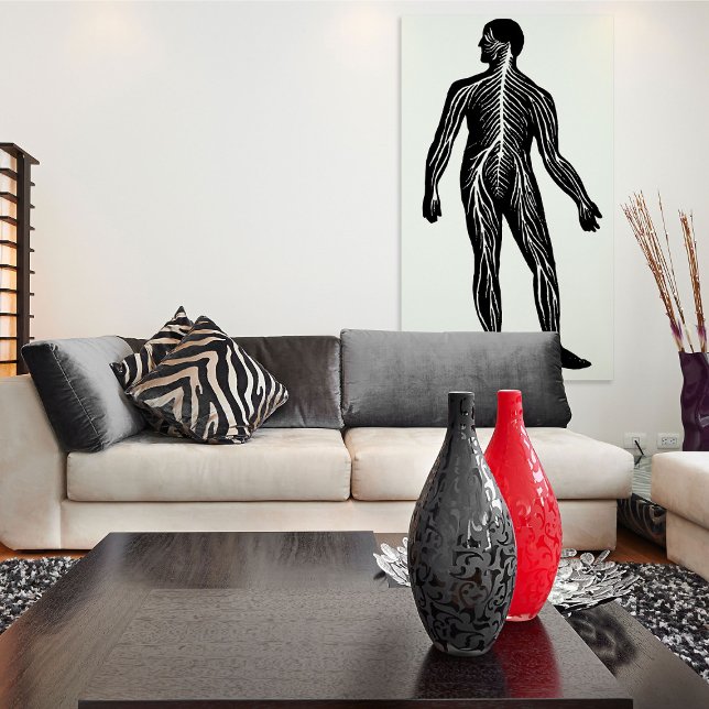 Poster Illustration de l'anatomie du système nerveux huma (Créateur téléchargé)