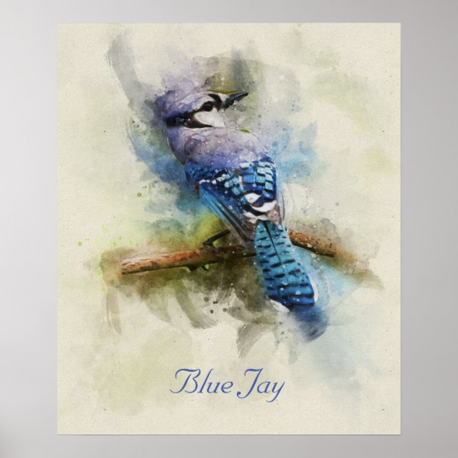 Poster Illustration de l'aquarelle Blue Jay (Devant)