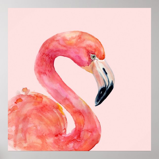 Poster Illustration de l'aquarelle rose Flamant rose d'ét (Devant)