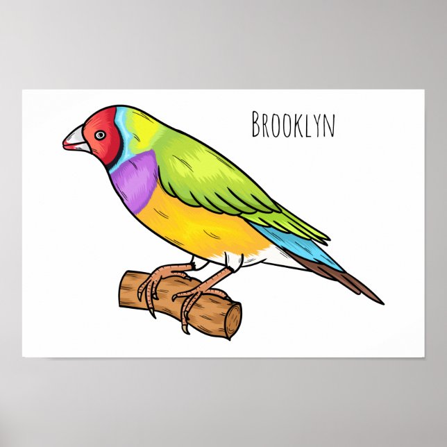 Poster Illustration de l'oiseau de taille gouldienne (Devant)