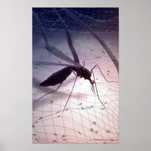 Poster Illustration de mordre de moustique