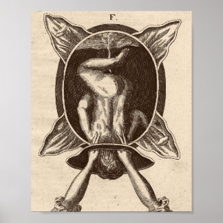 Poster Illustration de naissance de Justine Siegemund Cou