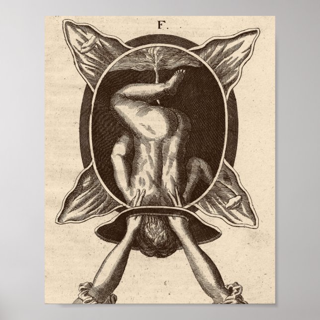 Poster Illustration de naissance de Justine Siegemund Cou (Devant)