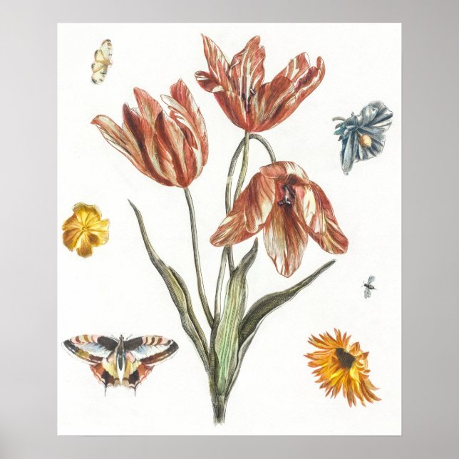 Poster Illustration de papillon vintage (Devant)