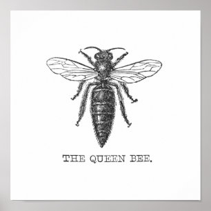 Poster Illustration de reine abeille insecte