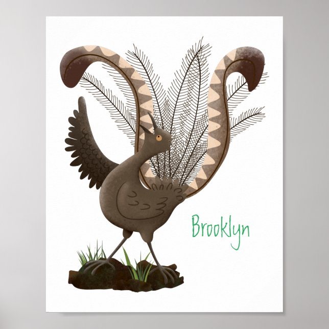 Poster Illustration de superbe et superbe lyrebird (Devant)