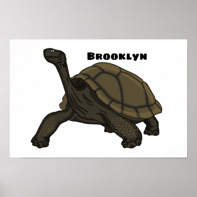 Poster Illustration de tortue terrestre des Galapagos (Devant)