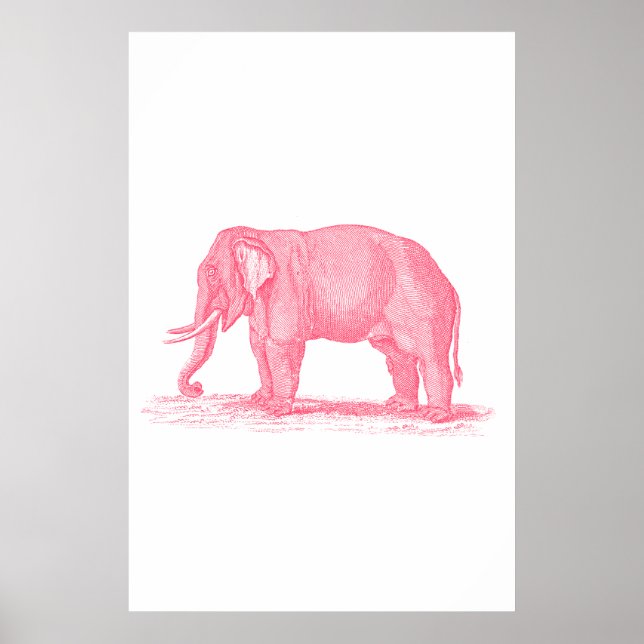 Poster Illustration des éléphants roses vintages des anné (Devant)